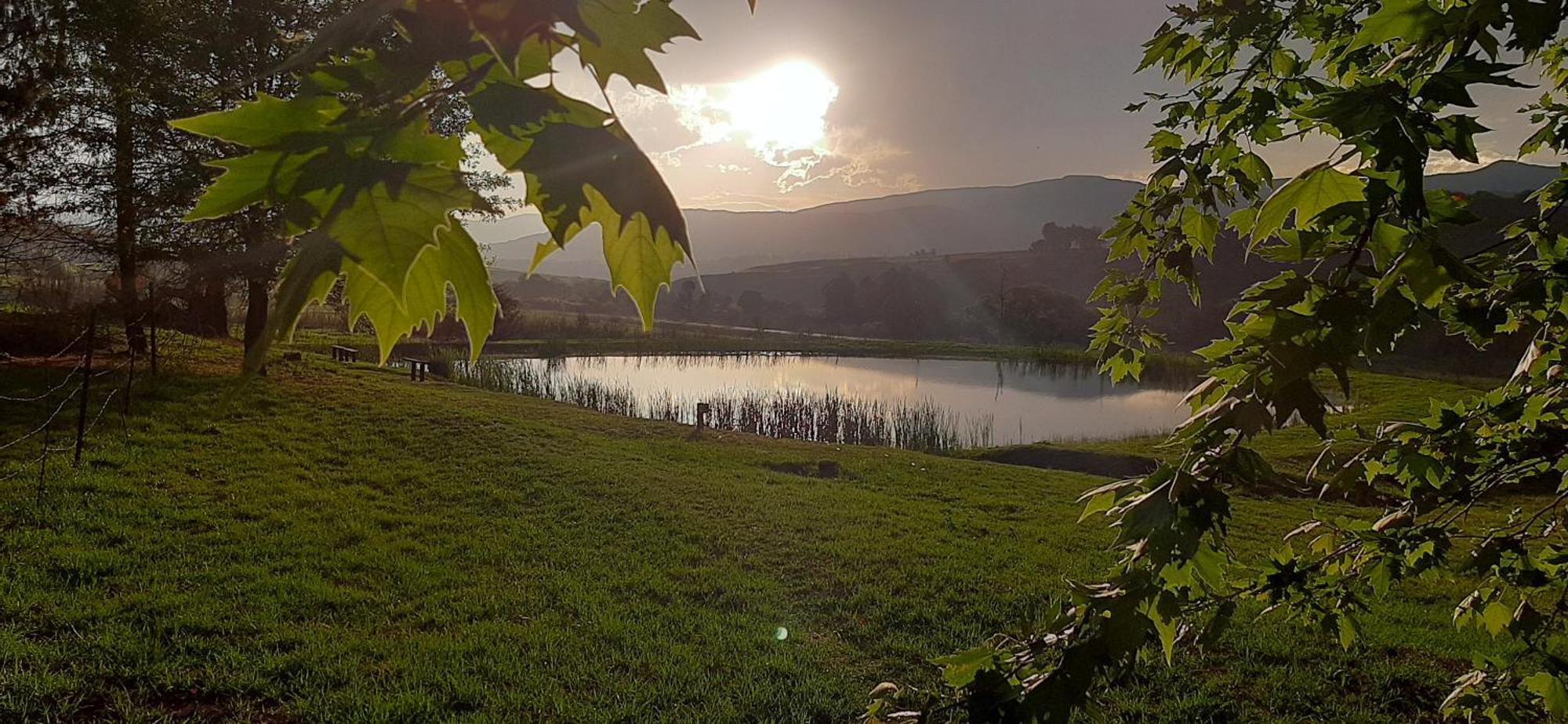 Schaefers' Halt Hotel ดัลสทรูม ภายนอก รูปภาพ